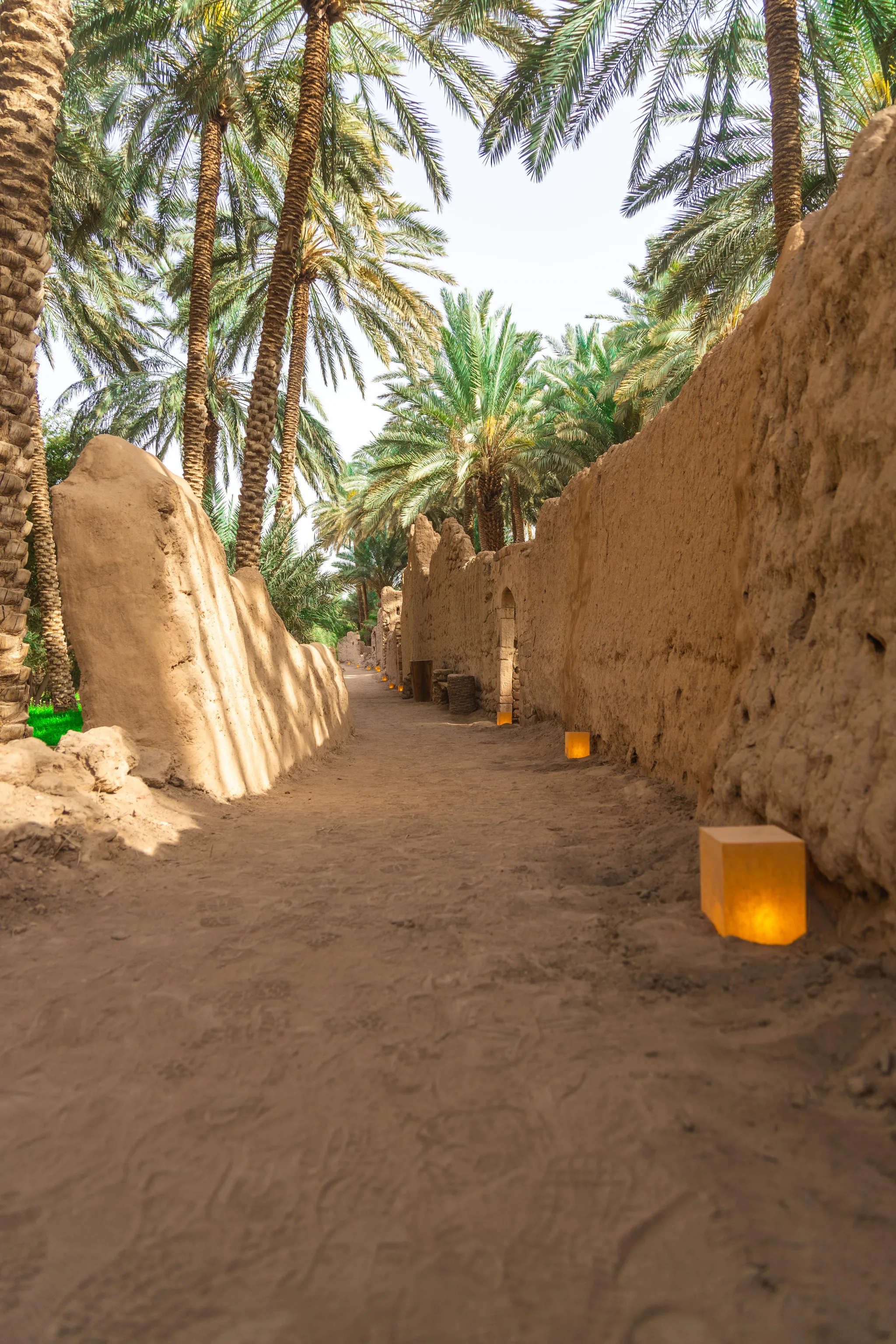 Oasis